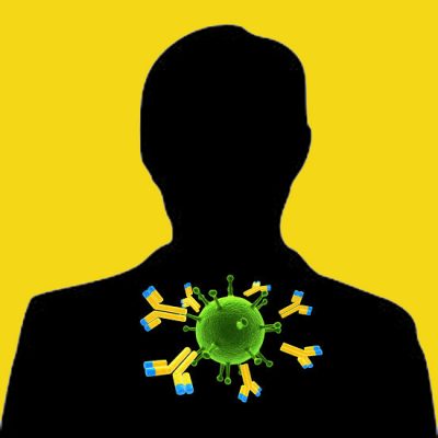 Anti-Human Tissue Factor