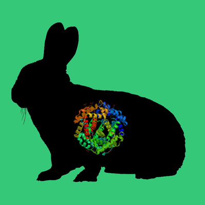 Active rabbit tPA, recombinant