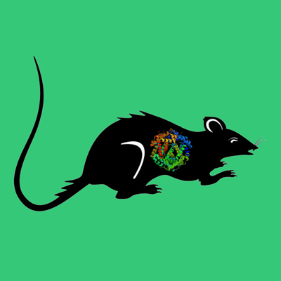 Active rat tPA, recombinant