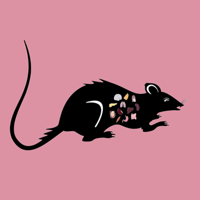 Rat Liver Lyophilized Powder