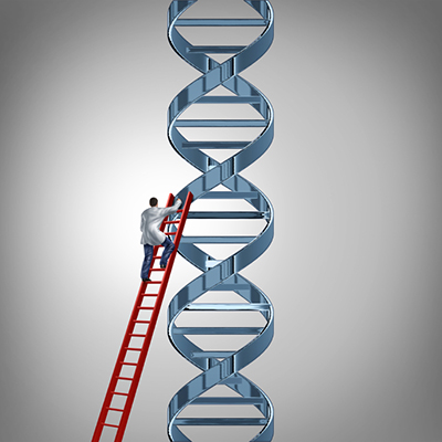 DNA ladder