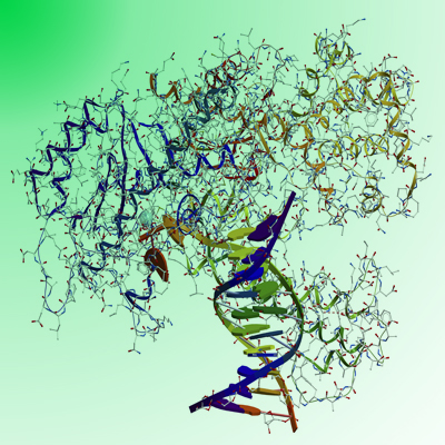 DNA polymerase green dye